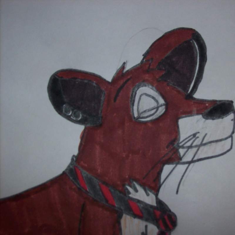 cool kovu