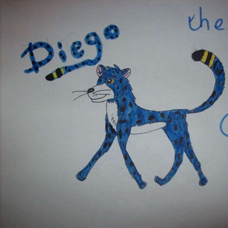 diego
