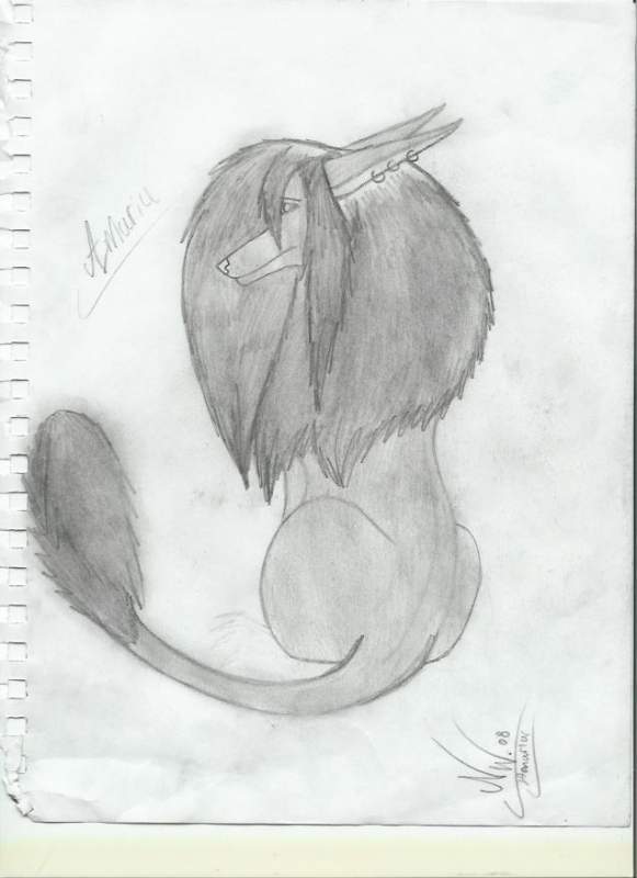 Amuriu