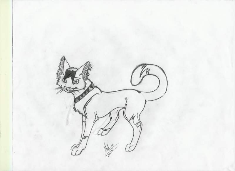 Original Version Of Emo Cat 1