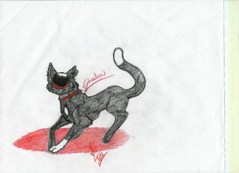 Original Version Of Emo Cat 2