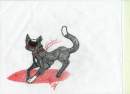 Original Version Of Emo Cat 2
