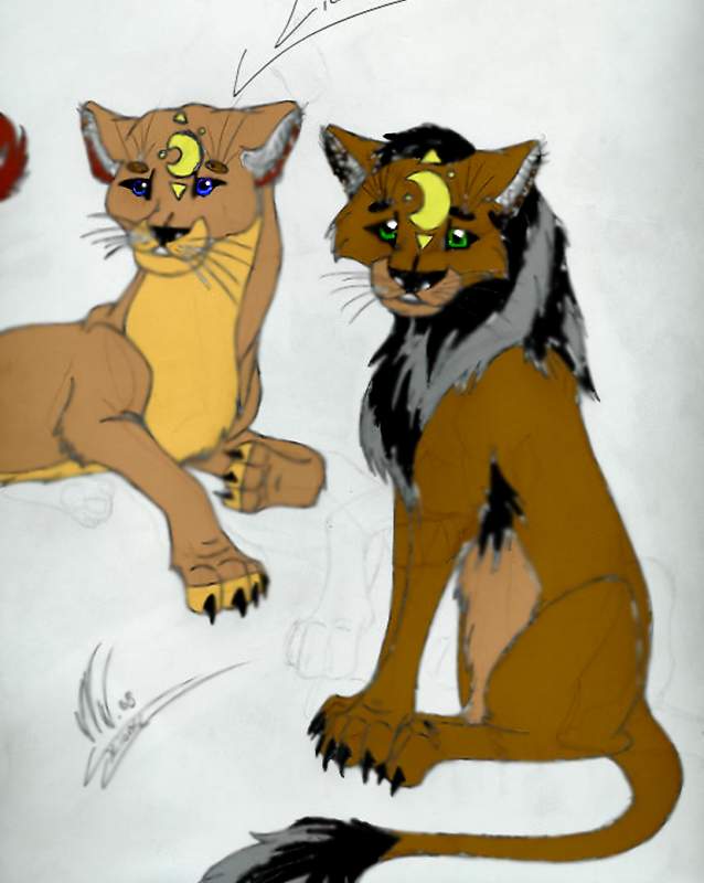 Young Lioness & Lion......