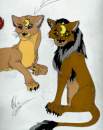 Young Lioness & Lion......