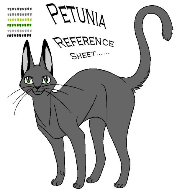 Petunia Reference Sheet....(C) Made by Draco)