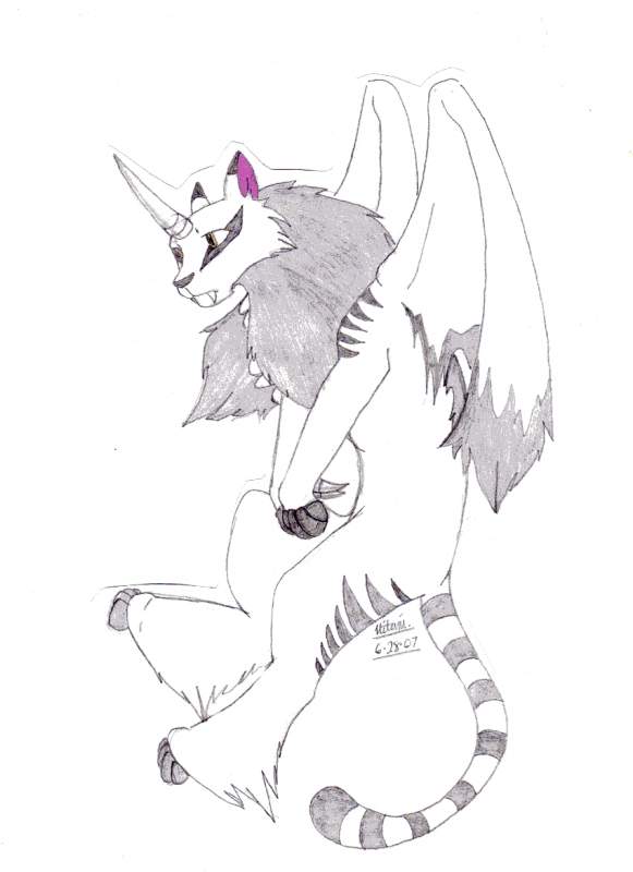 Cita for Cat