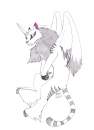 Cita for Cat