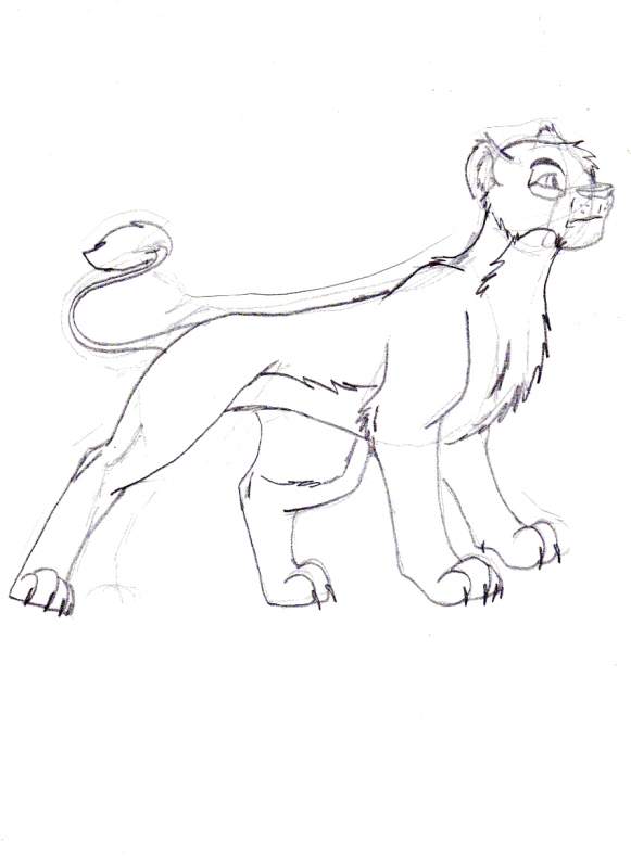 Vitani