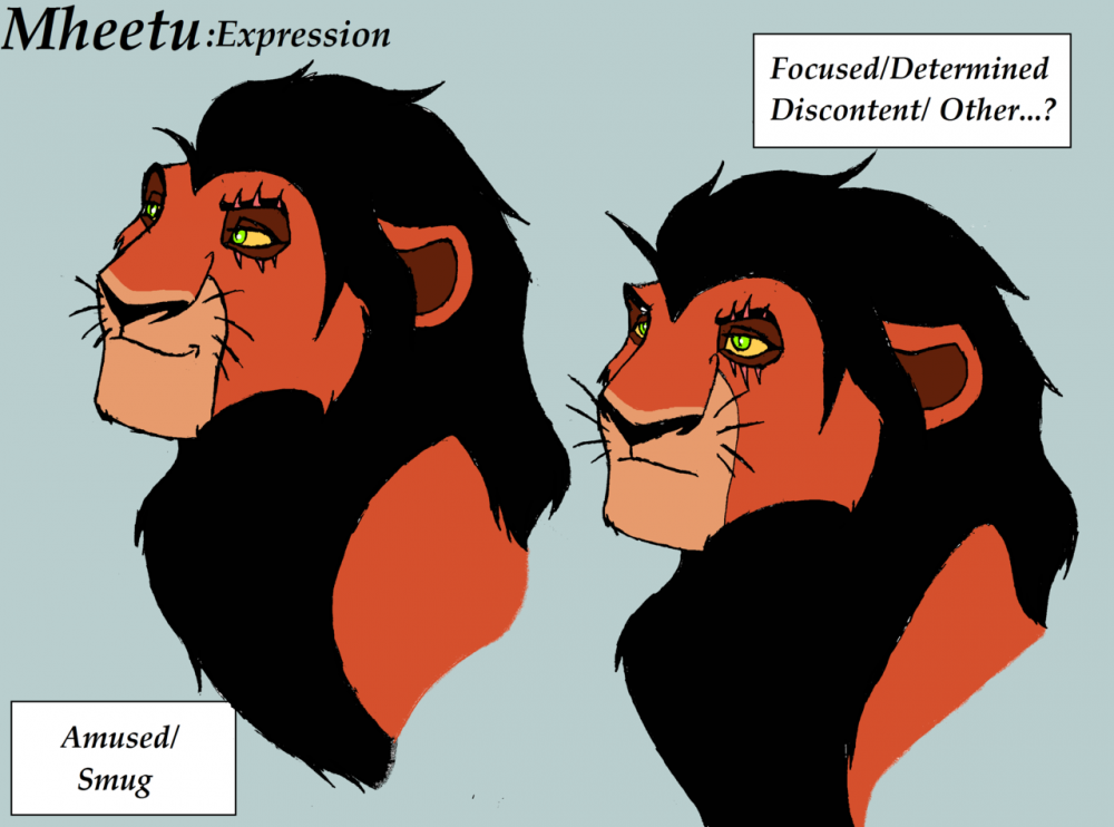 Expressions Practice