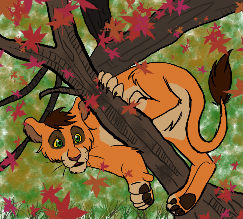 Climbing