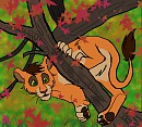 Climbing