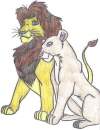 simba and nala