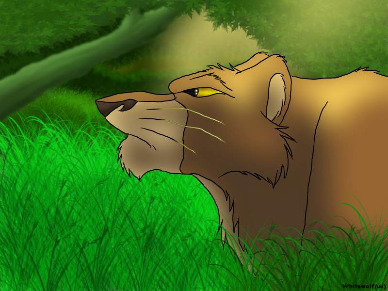 Jungle cat