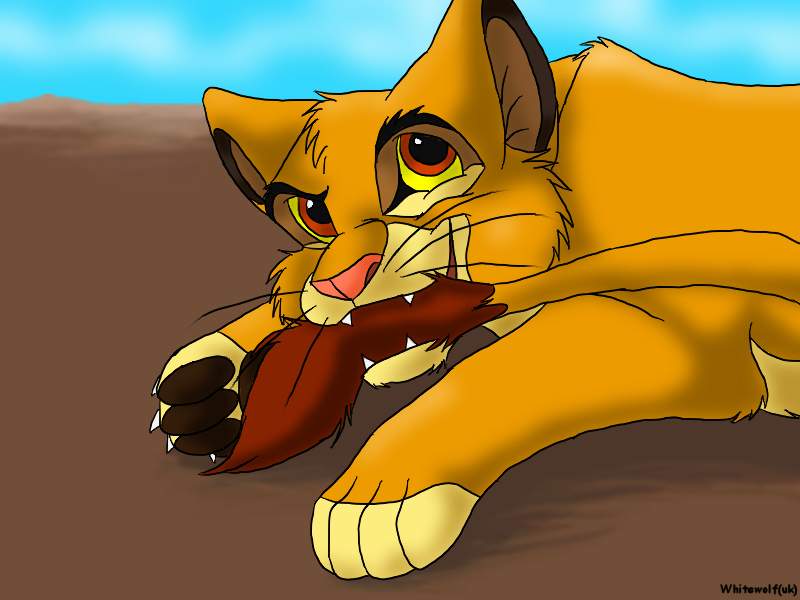 Simba chews on tail