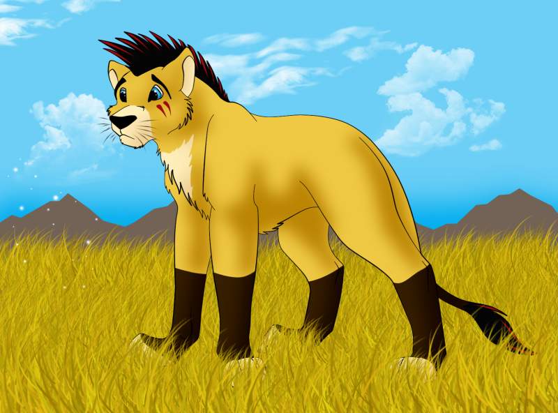 Saracen