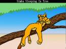 Simba sleeping in tree