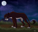 Night Walker