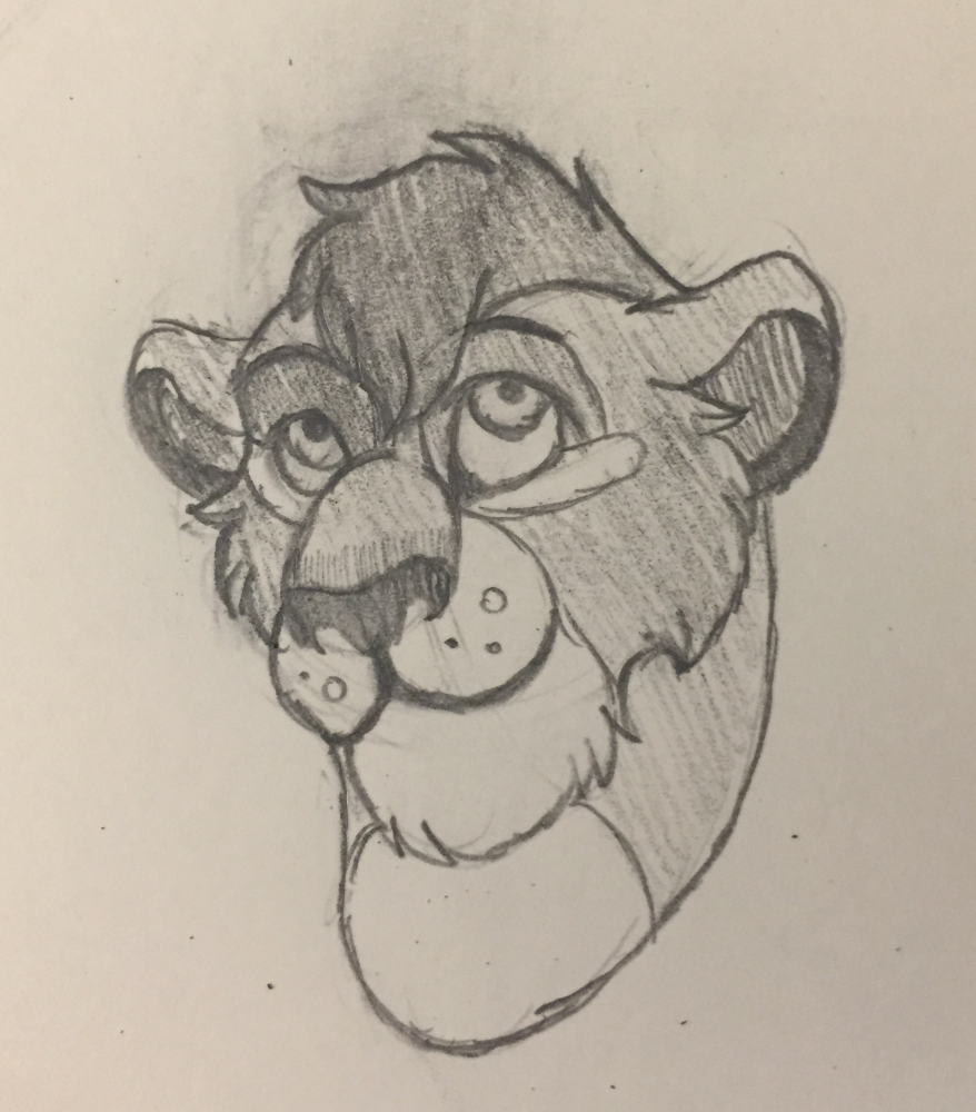 Habari Sketch