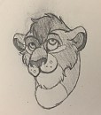 Habari Sketch