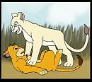 Simba and Nala ' pinned ya!'