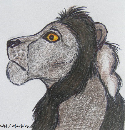 Obbler Teen Lion (Realism)