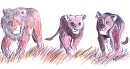 A Team