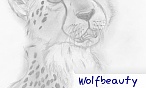 wolfbeauty