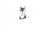 Cat carrie 