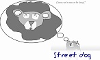 street dog
