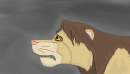 Kopa