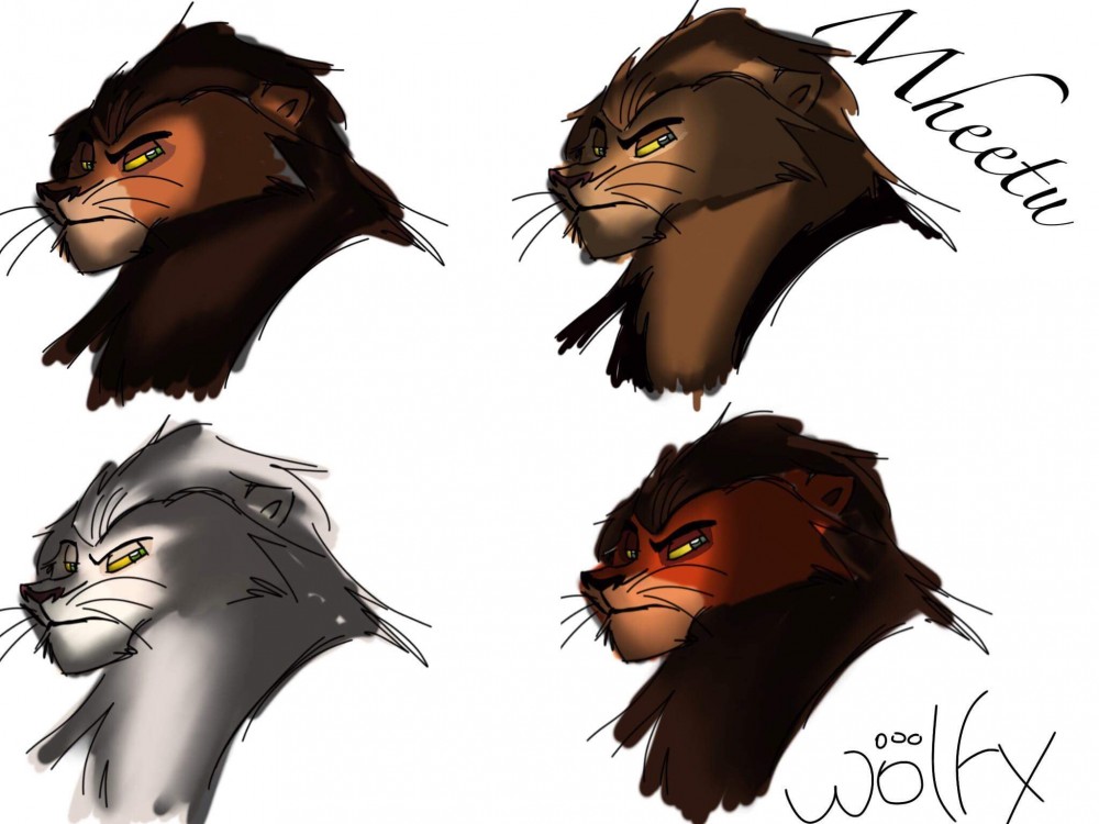 Mheetu version couleur 