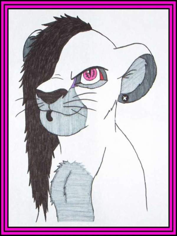 BOAIL-LION