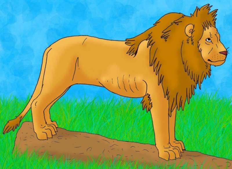 Realistic lion