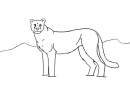 cheetah lineart