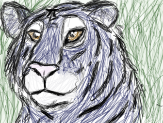 Realistic Tiger..