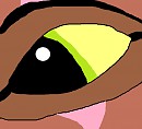 Kovu's eye
