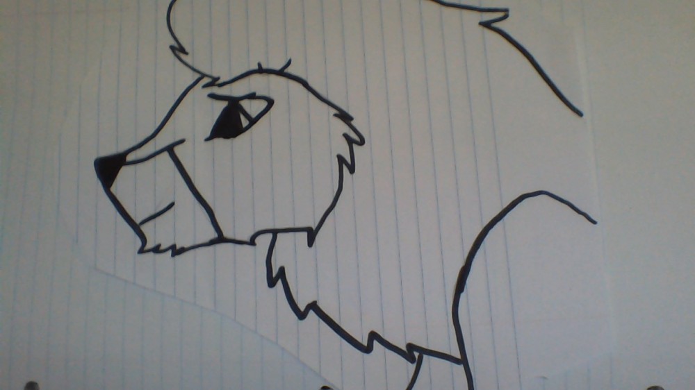 WOW its finally done 2nd request for LO