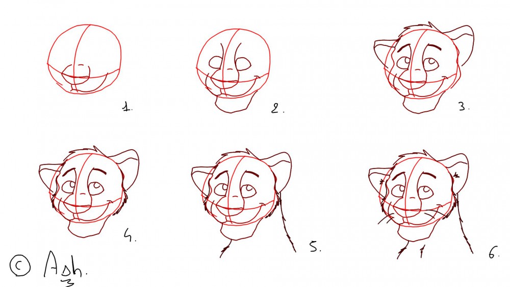 Tutorial Lion. 