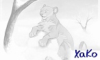 XaKo