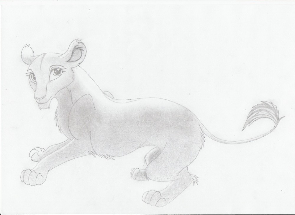 Lioness imagination