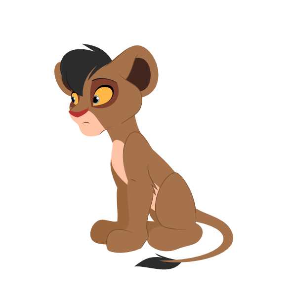 Zocosi