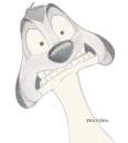 Timon2