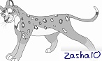 zasha10