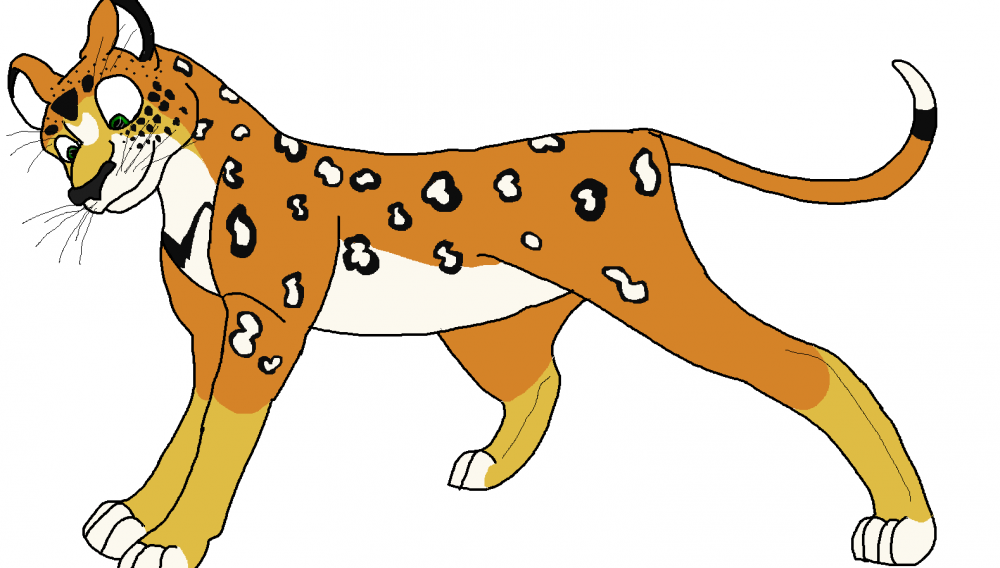 Leopard