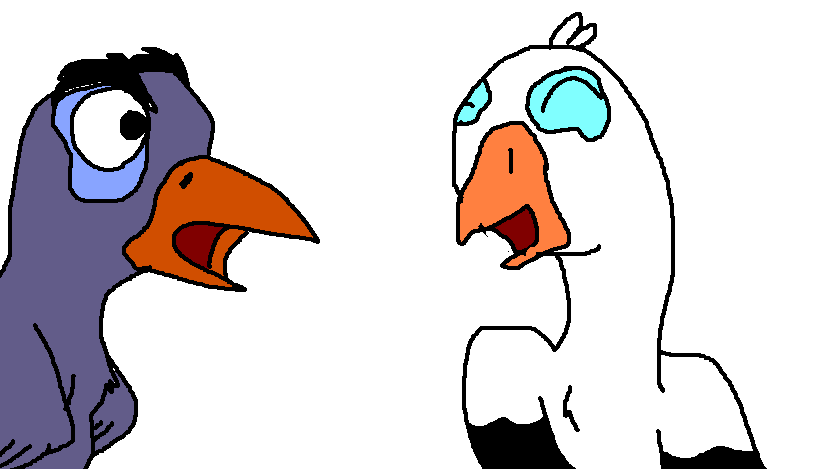 The birds