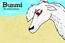 Bunmi (cover)
