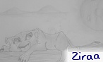 Ziraa