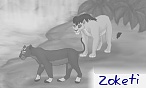 Zoketi