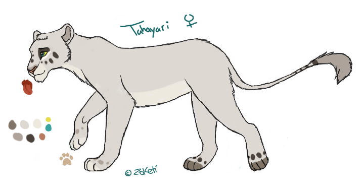 Tahayari Reference 2013