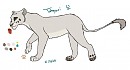 Tahayari Reference 2013